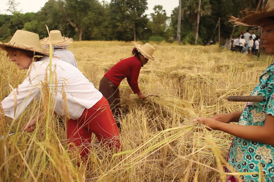Susan-works-in-rice-field-while-visiting-Heifer-International's-work-in-Cambodia,-De.-2011
